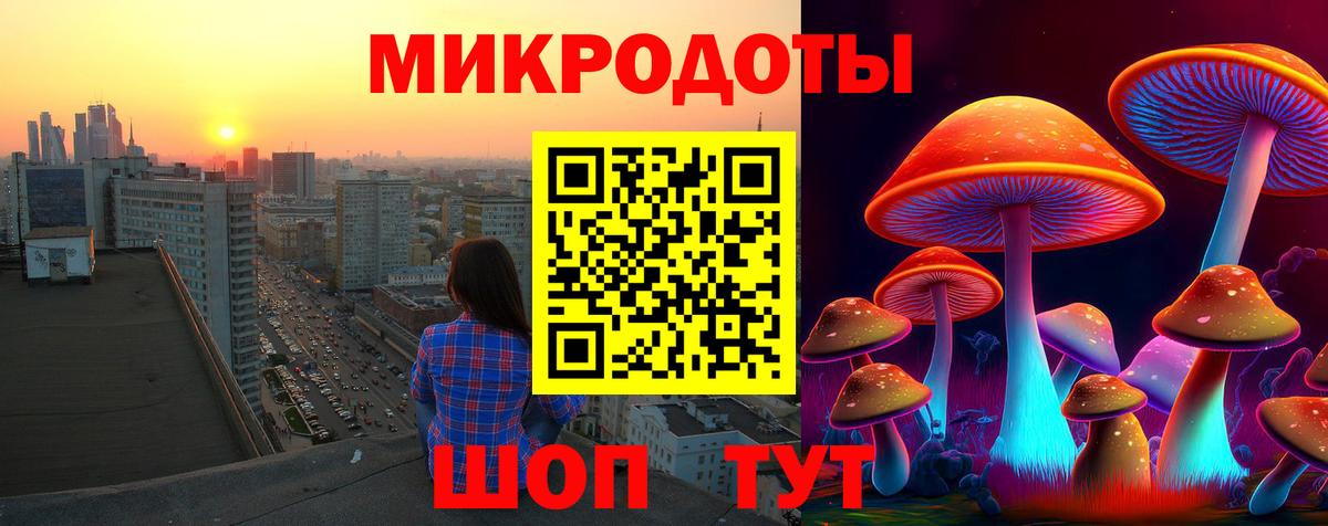 Гагарин  Псилоцибиновые грибы мухоморы  Вход с VPN 